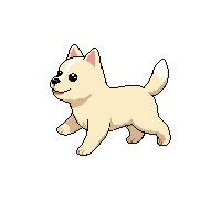 puppy running