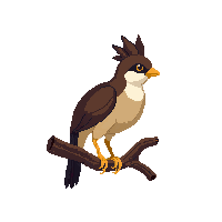 quail perched