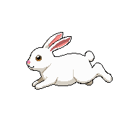 rabbit running