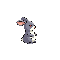rabbit sitting