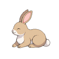 rabbit sleeping