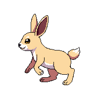 rabbit walking
