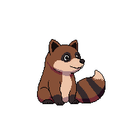 raccoon sitting