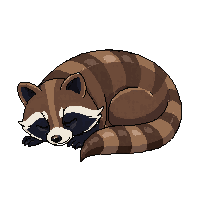 raccoon sleeping