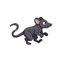 rat running