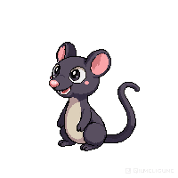 rat sitting