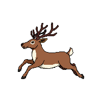 reindeer running