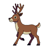reindeer walking