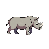 rhinoceros walking