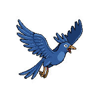 roadrunner flying