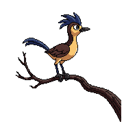 roadrunner perched
