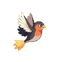 robin flying