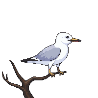 seagull perched