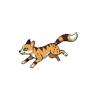 serval running