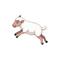 sheep jumping