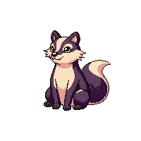 skunk sitting