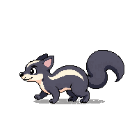 skunk walking