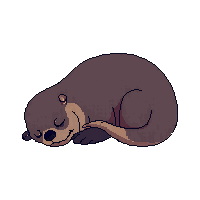 sloth sleeping