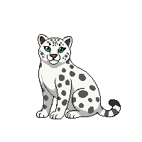snow leopard sitting