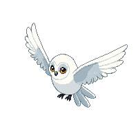 snowy owl flying