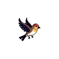 sparrow flying