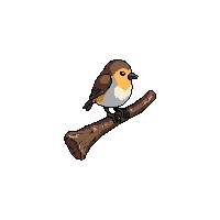 sparrow perched