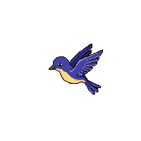 starling flying