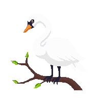 swan perched