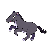 tapir running