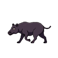 tapir walking