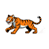 tiger running