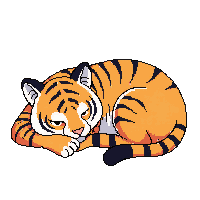 tiger sleeping