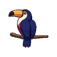 toucan perched