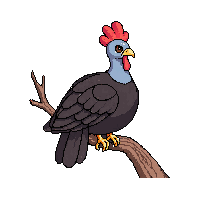 turkey perched