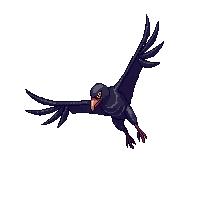 vulture flying