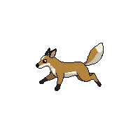wallaby running