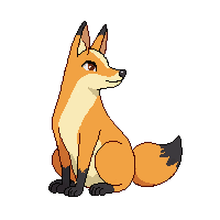 wallaby sitting
