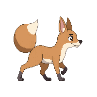 wallaby walking