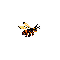 wasp flying