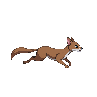 weasel running