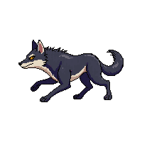 wolf running