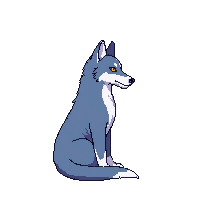 wolf sitting