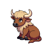 yak sitting