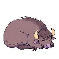 yak sleeping