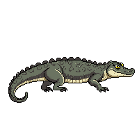 alligator