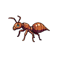 ant