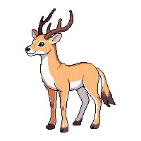 antelope