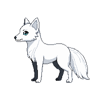 arctic fox