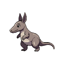 armadillo