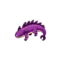 axolotl